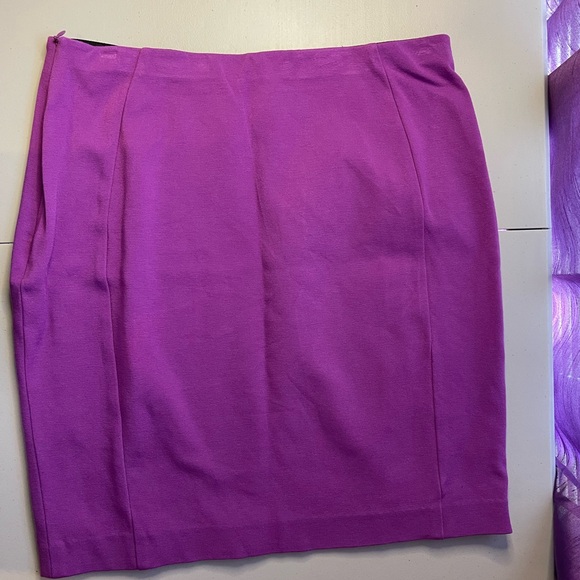 Ann Taylor women’s stretchy skirt - Picture 4 of 5